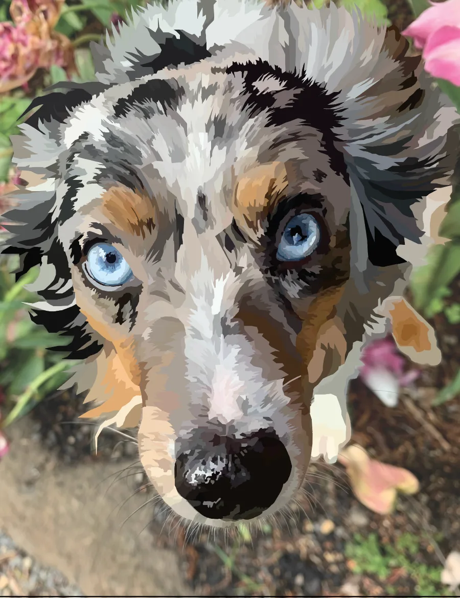 This is a Mosaic of my dog Willow made using Adobe illustrator. by Isabella Hill