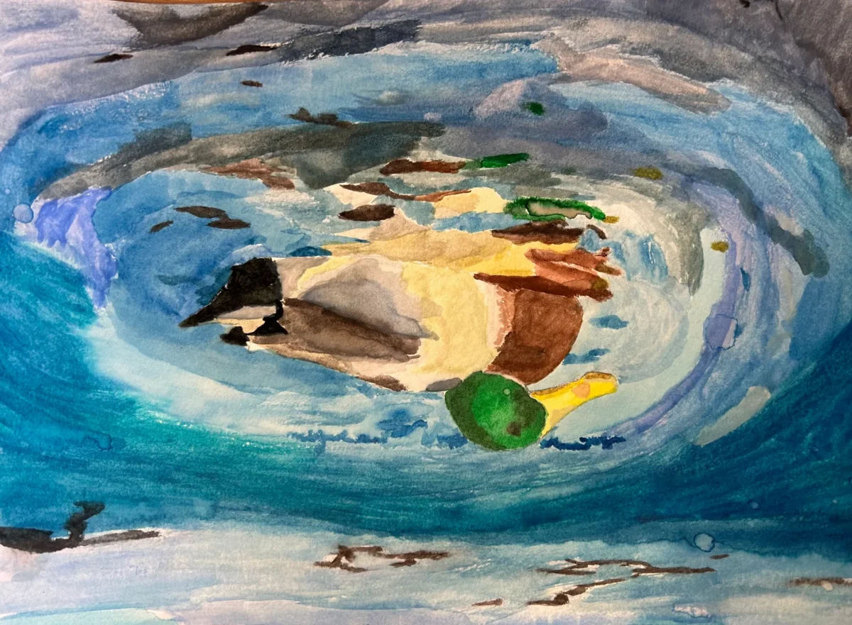 The Duck Pond by Benjamin Hoffman