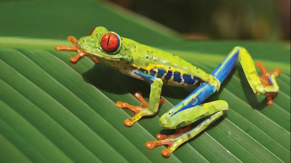 The Quiet Frog, made on adobe illustrator, it is a mosaic. by Reid Randolph
