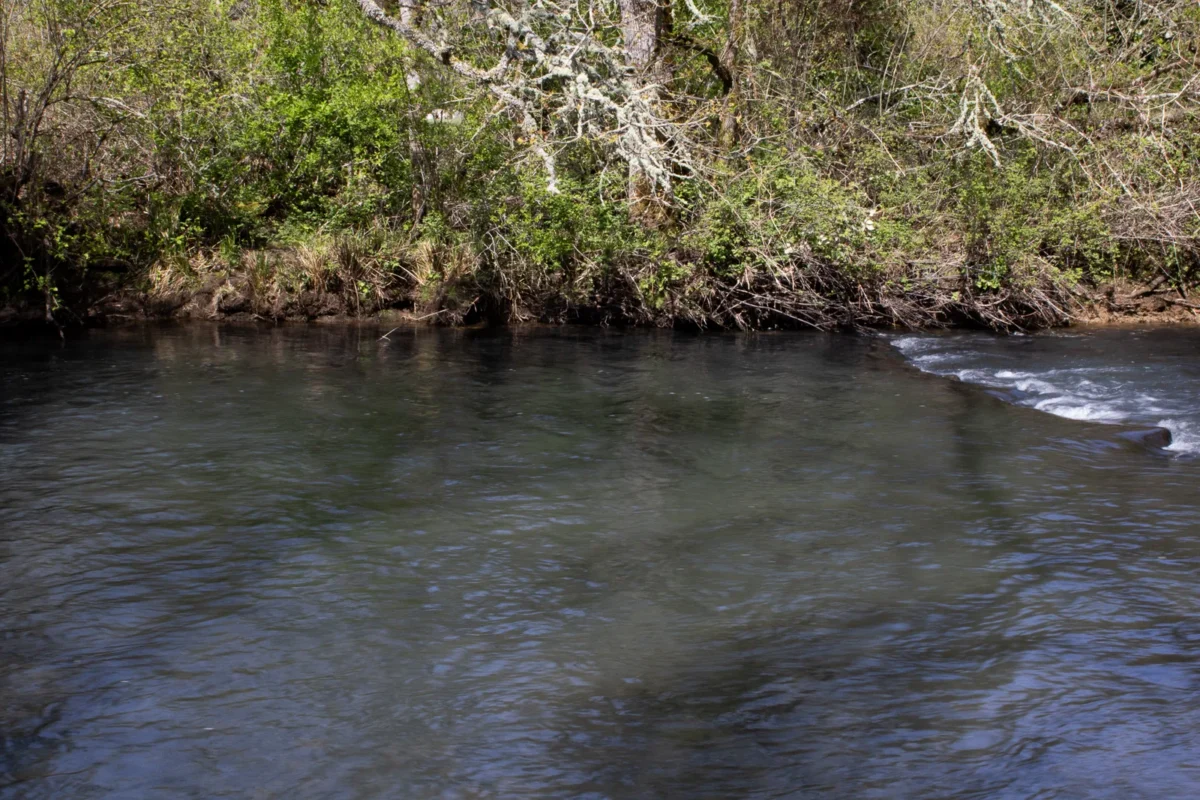 The River, Photography, this photo was take to capture the serenity of the world when you are in nature and the beauty of the natural world. by James Hammond