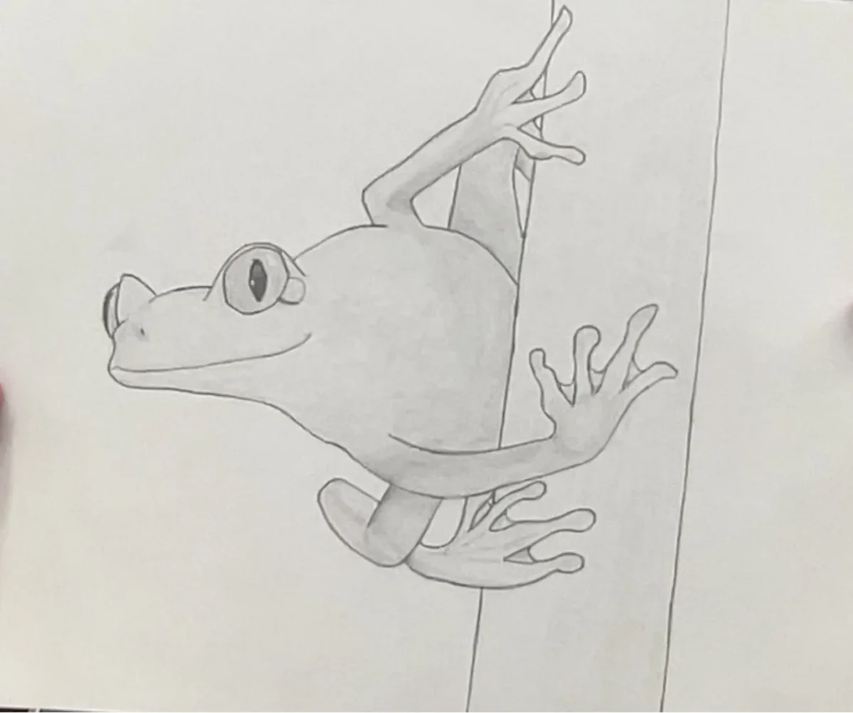 Tree Frog by Aiden R.