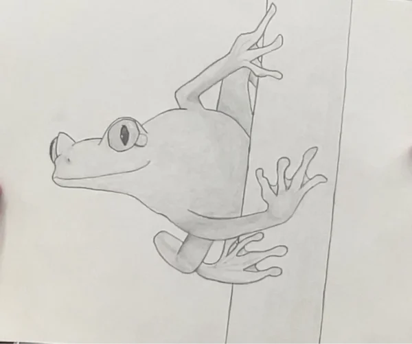 Tree Frog by Aiden R.
