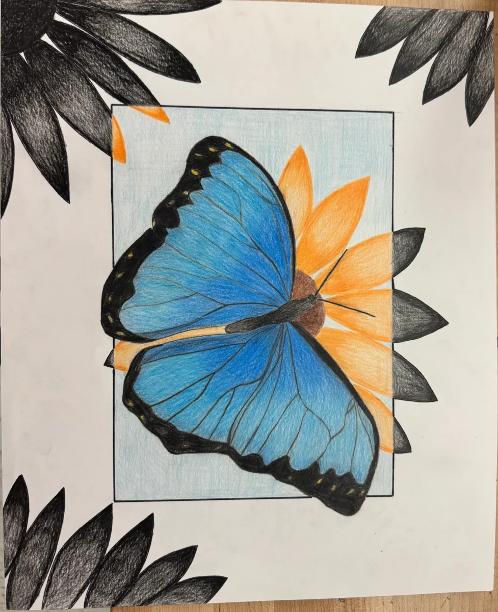 Seeing the Details: This art work gives a closer look into the beauty of the butterfly. Due to butterflies small and quick nature we are not able to s by Kaci Alvarado