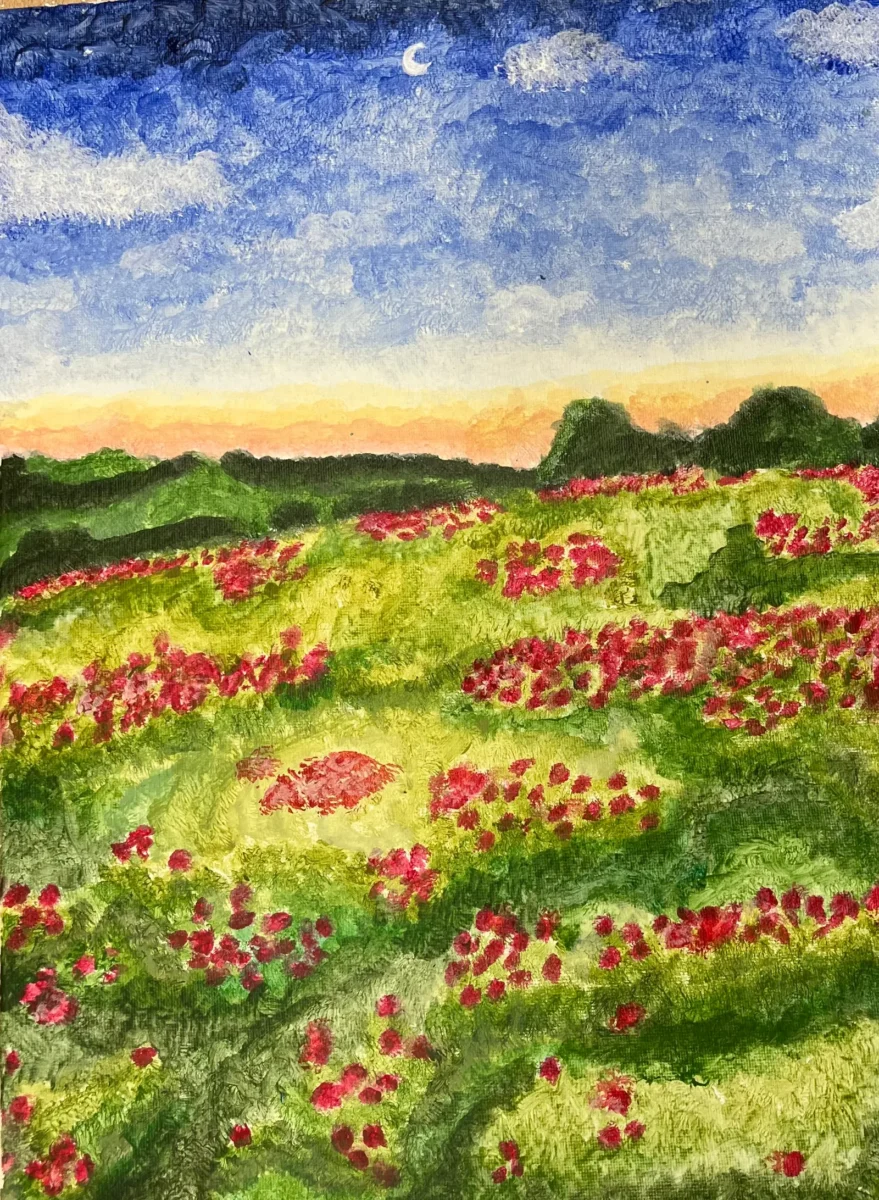 Poppy Field, Canvas Painting by Brooke Sheridan
