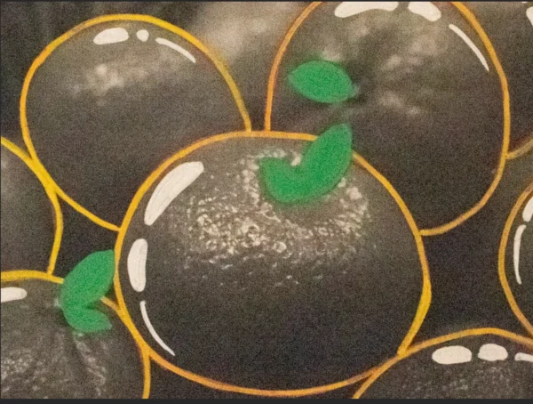 I grew up eating mandarins.They were a fam… by Pradnya Rao