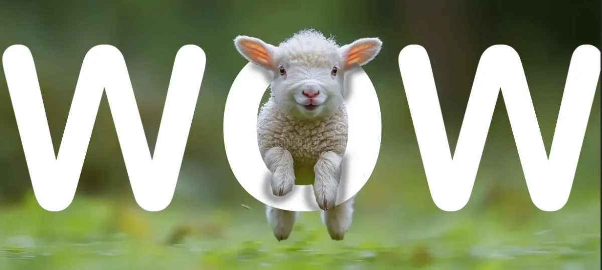 Wonders of Wow is a graphic design art piece that shows the beauty of the world through the jumping f a young sheep. by Alessandra Bianca Quiambao