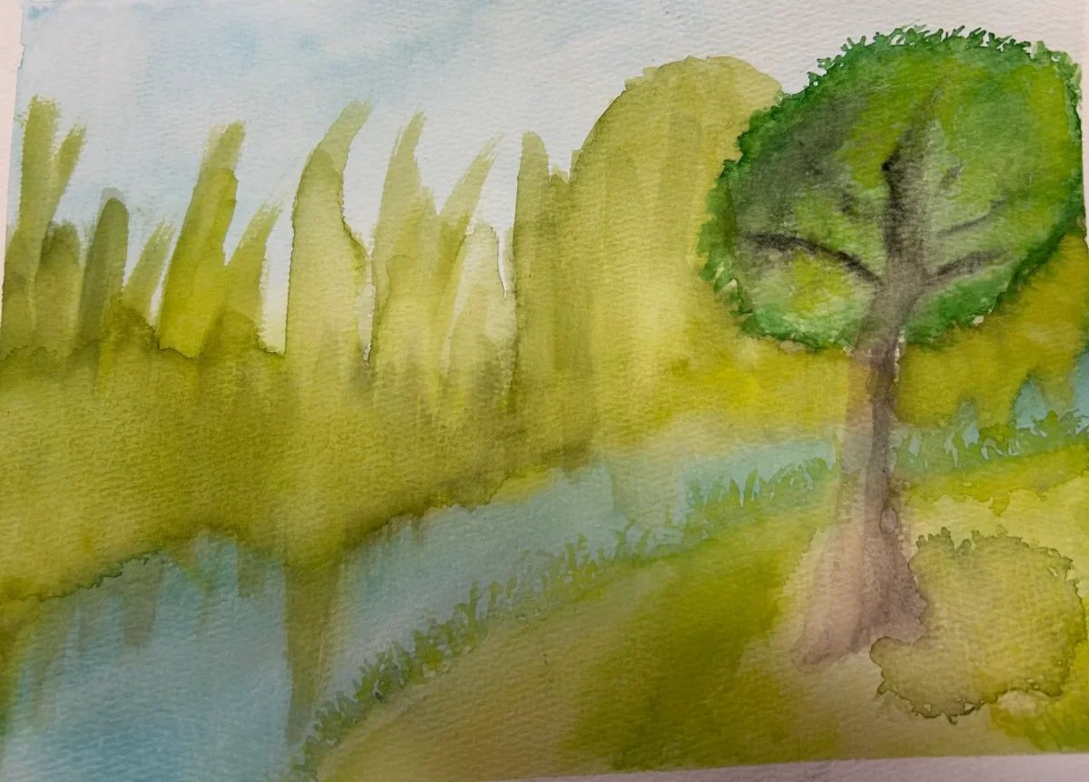 This is just a forest landscape and one of my first watercolor paintings by Matthew Pearson