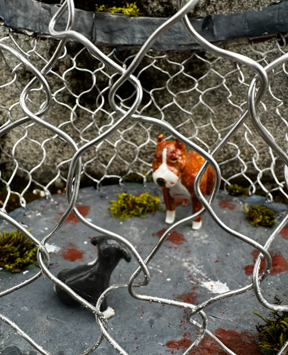 The title of this piece is, “I wasn’t born to fight” I made 2 clay sculptures of a pit bull puppy and an adult pit bull dog to show how brutal d by Bella Cavalli