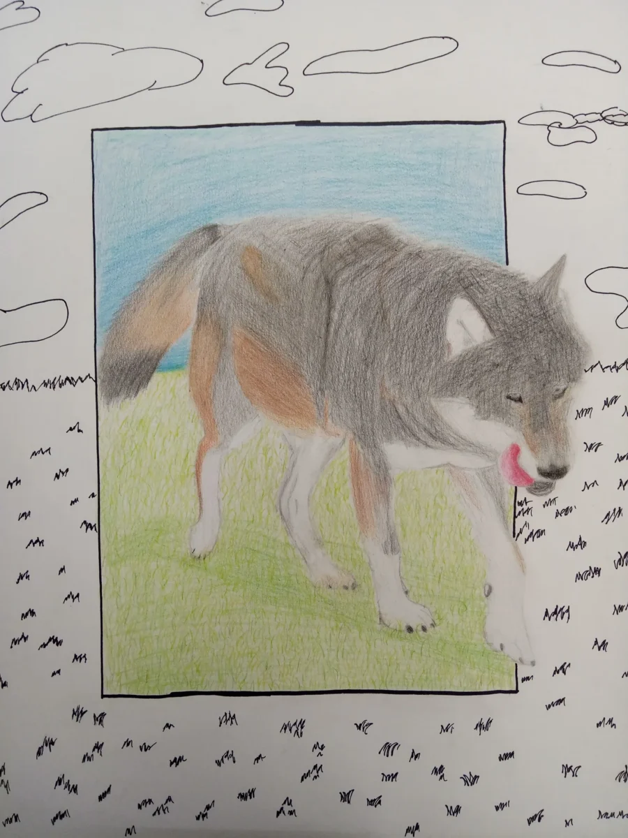 The Wolf-colored pencil and sharpie- A wolf just being a happy lil guy by Jocelyn Klugherz