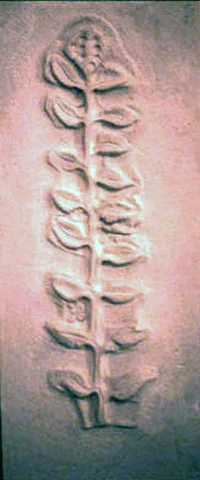 Sacred Heart, Gervais