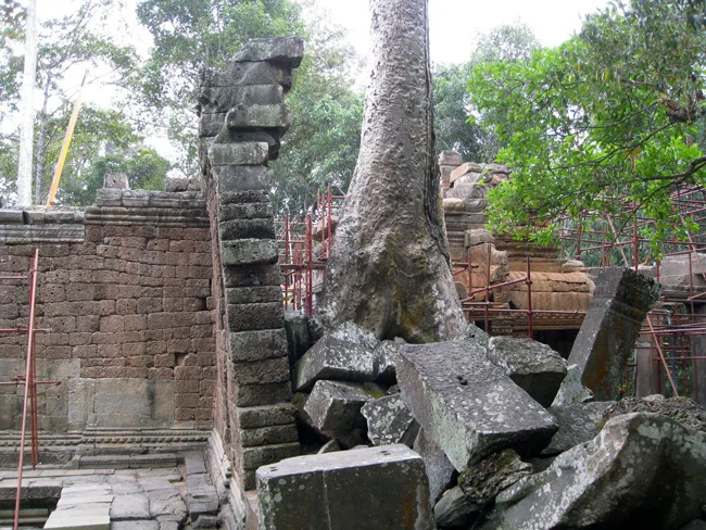 Ta Prohm, Cambodia
